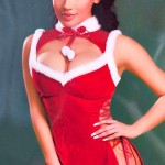 Новогодний ролевой костюм